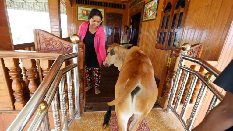 www.thai-dk.dk/uploads/gtfrdewsaq33.jpg