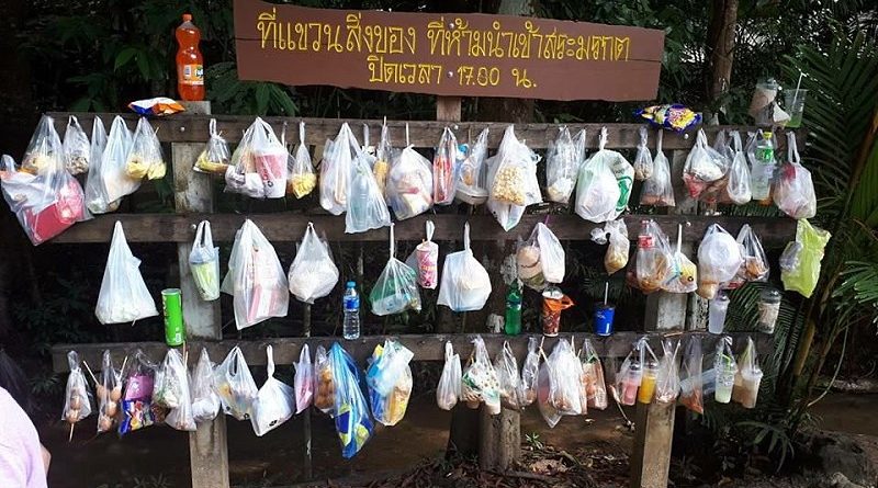 www.thai-dk.dk/uploads/plasticbags-800x445.jpg