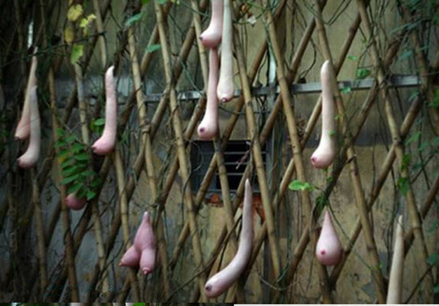 www.thai-dk.dk/uploads/zzbryster.jpg